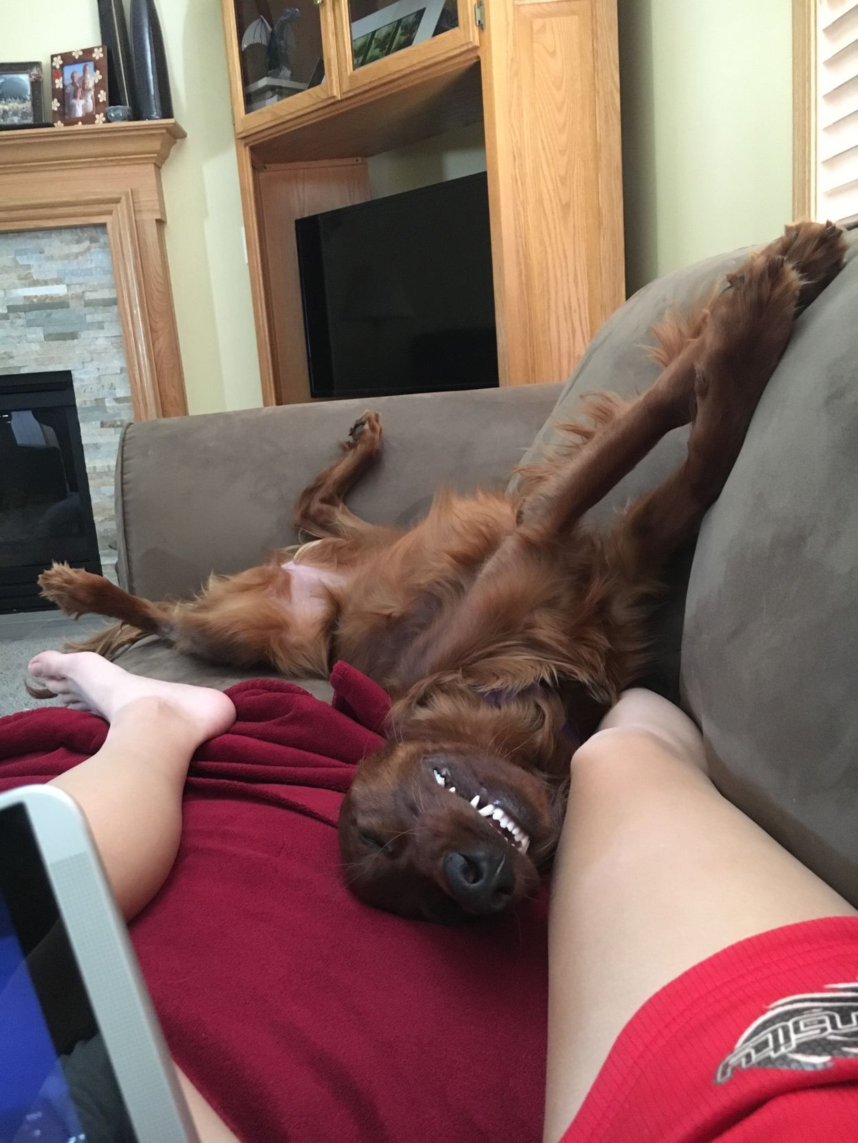 Penny